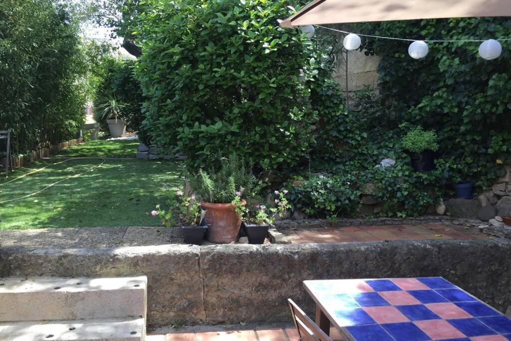 La Cassirene - Maisonnette Centre Cassis - Jardin Dış mekan fotoğraf